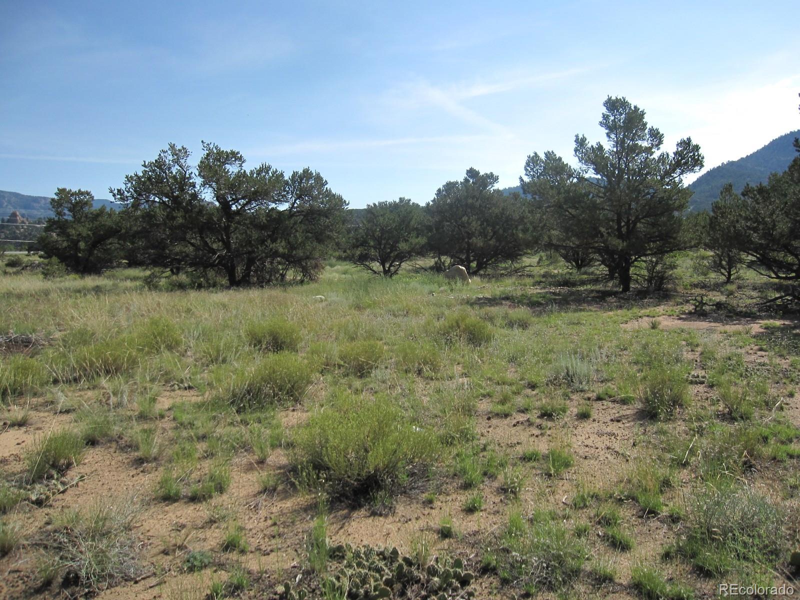 30036 Teal Run Buena Vista CO 81211