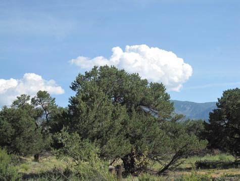 30036 Teal Run Buena Vista CO 81211