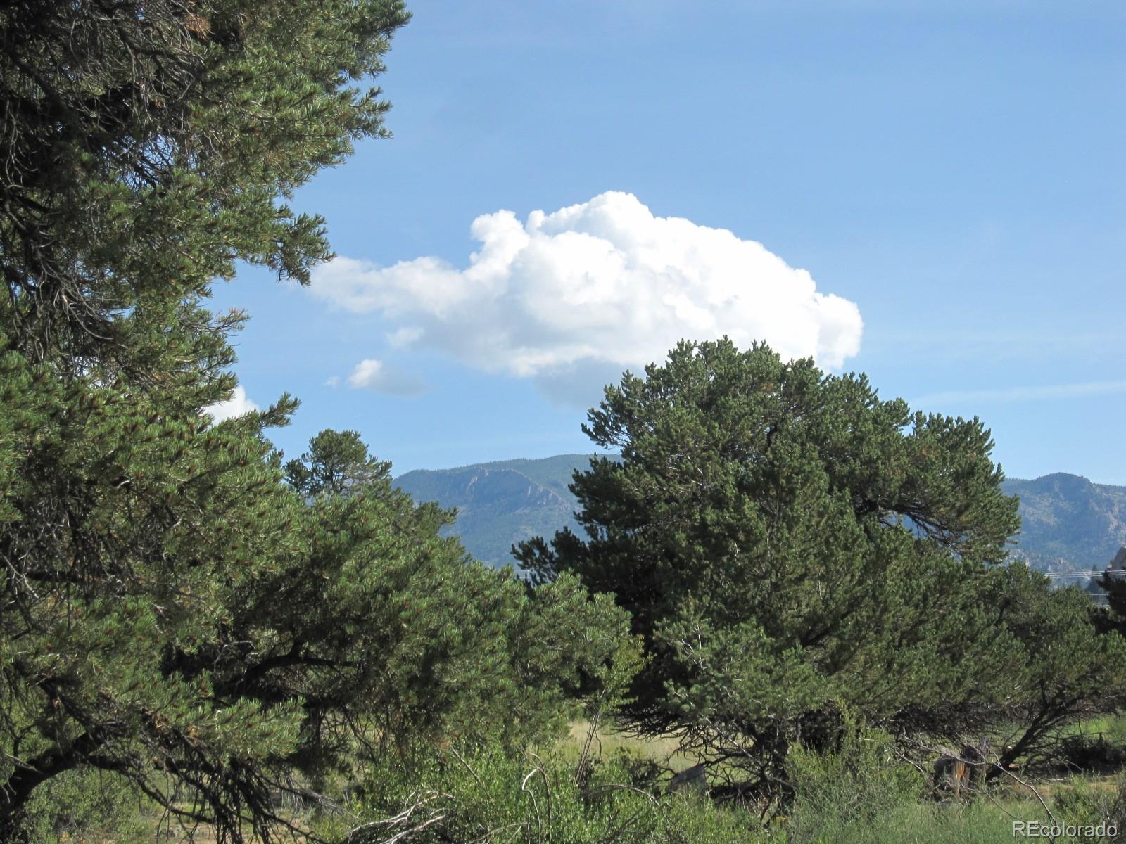 30036 Teal Run Buena Vista CO 81211