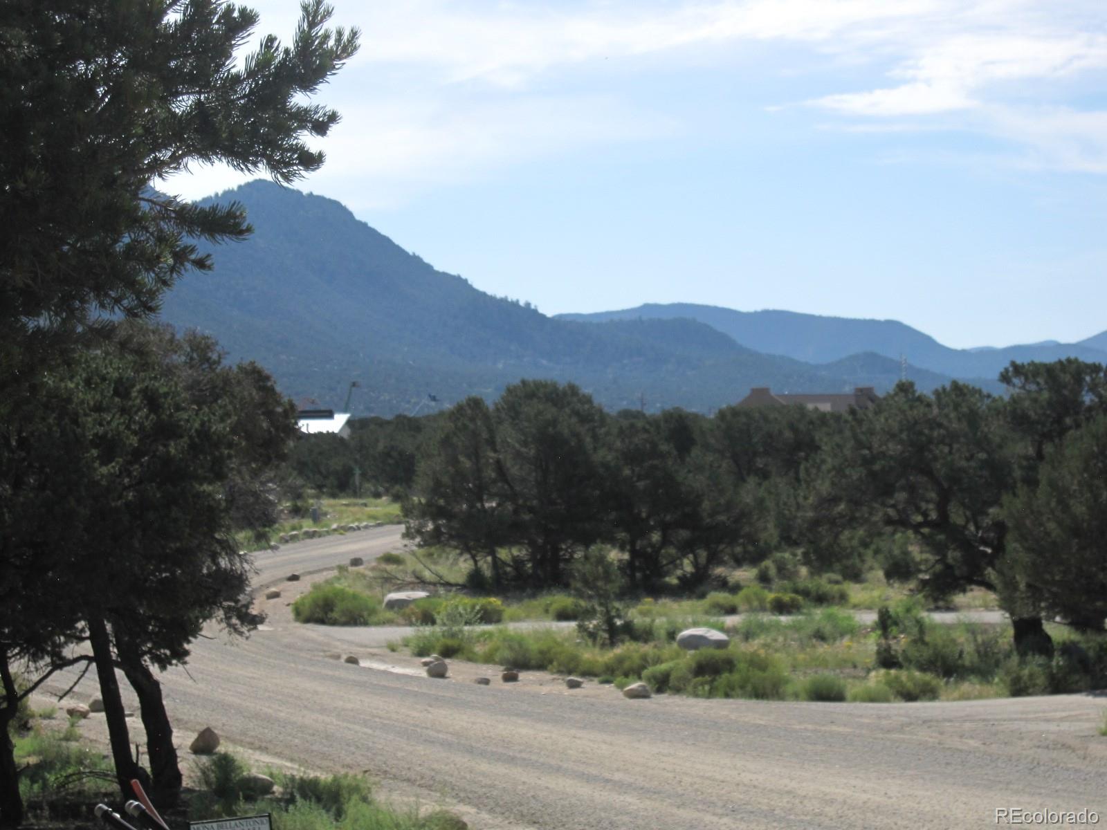 30036 Teal Run Buena Vista CO 81211