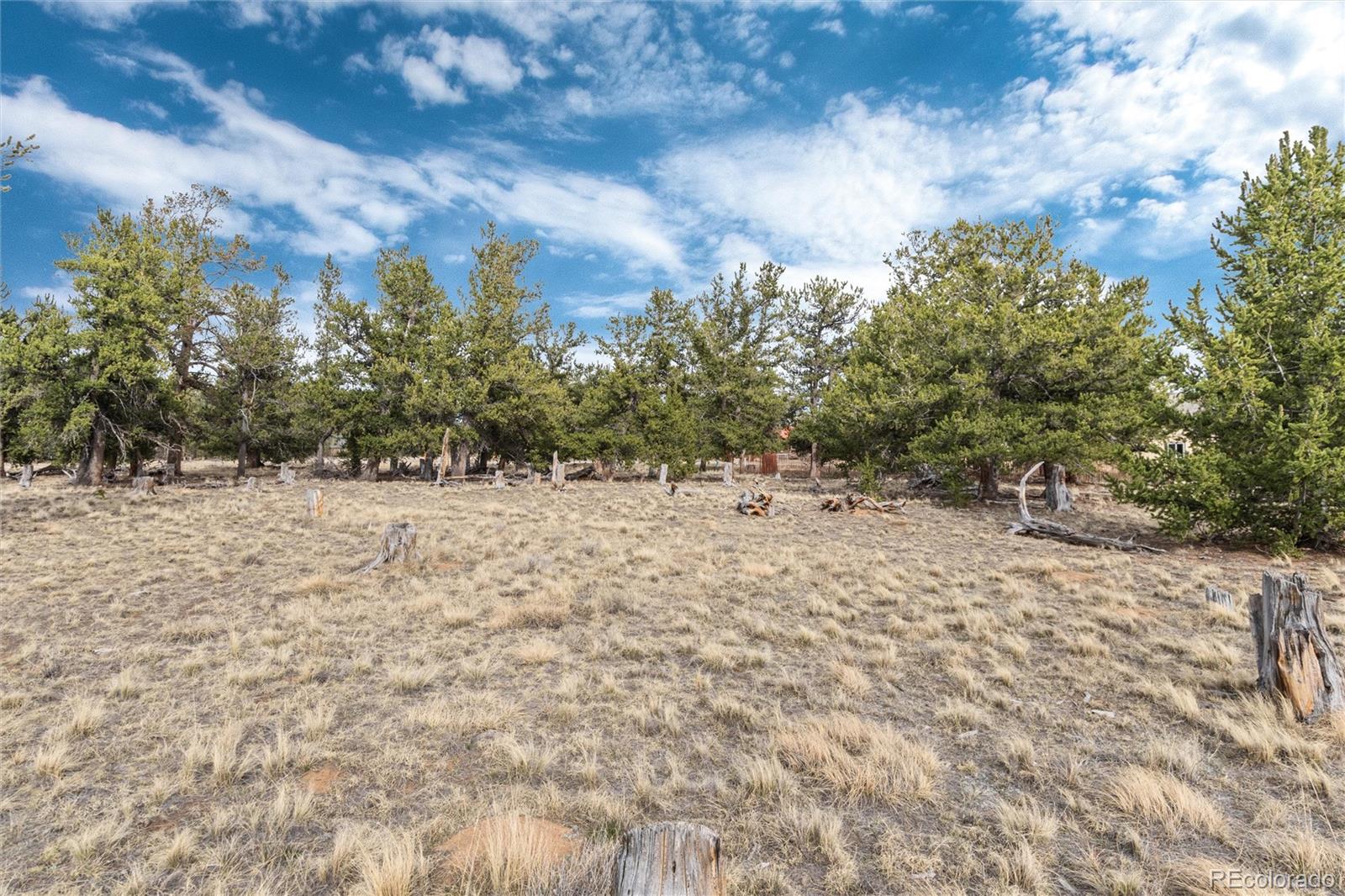 1798 Mullenville Road Fairplay CO 80440