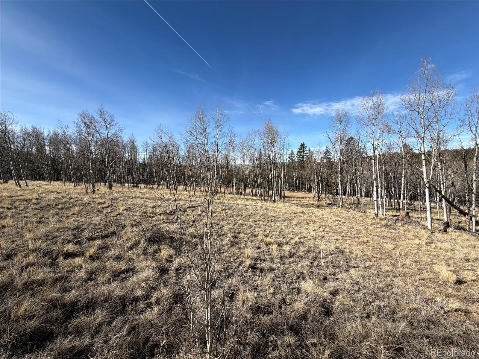 32 Sugar Loaf Lane Jefferson CO 80456