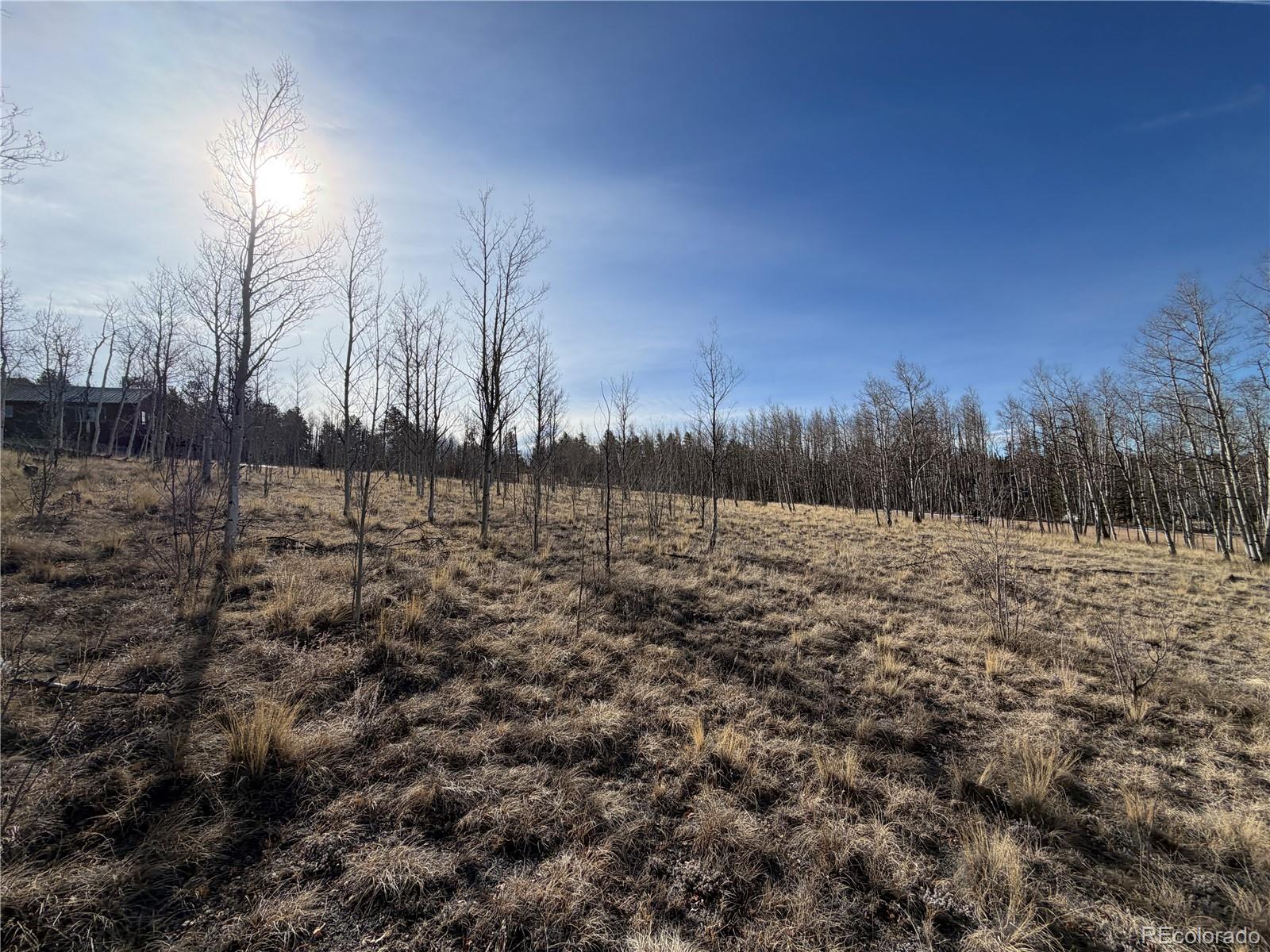 32 Sugar Loaf Lane Jefferson CO 80456