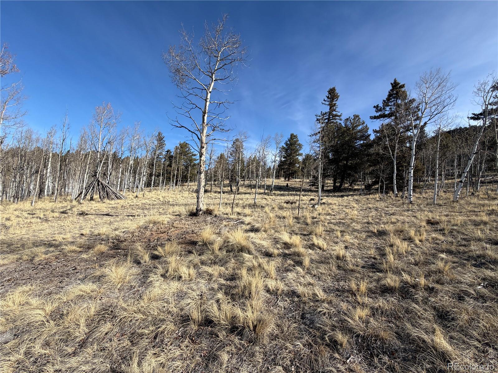 32 Sugar Loaf Lane Jefferson CO 80456