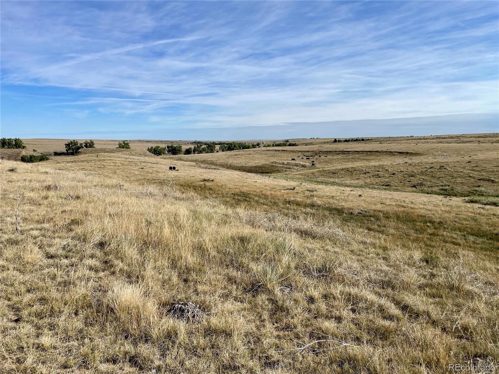 County Road 109 Deer Trail CO 80105