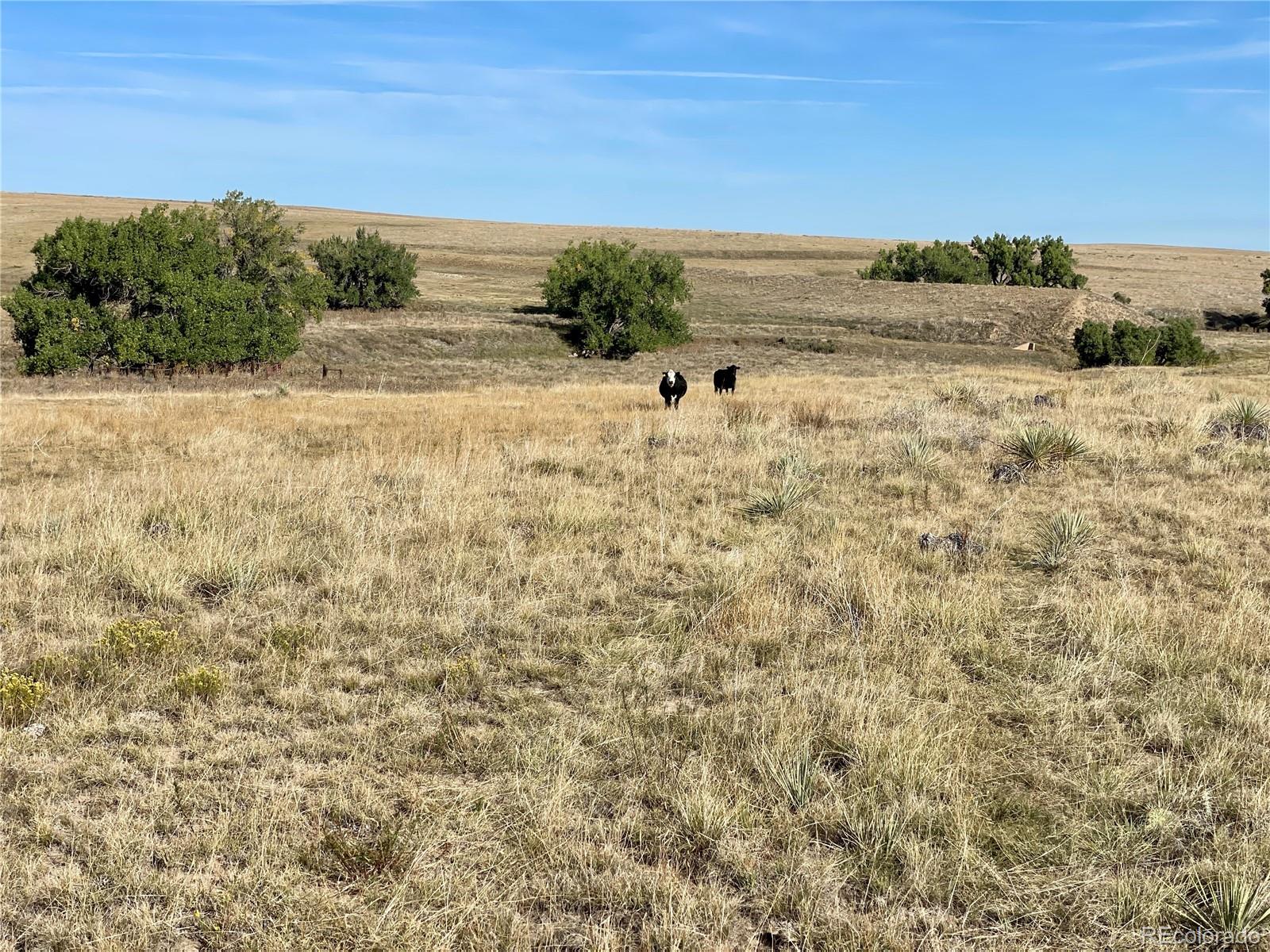 County Road 109 Deer Trail CO 80105