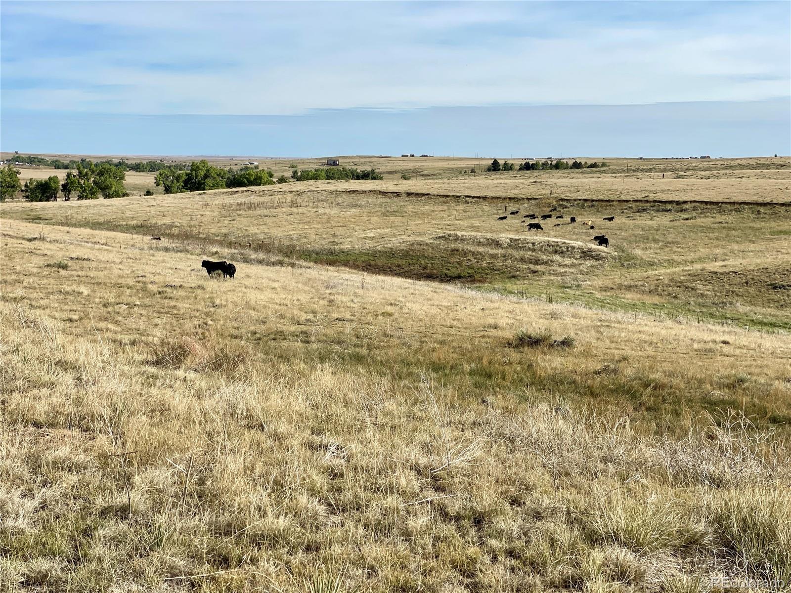 County Road 109 Deer Trail CO 80105