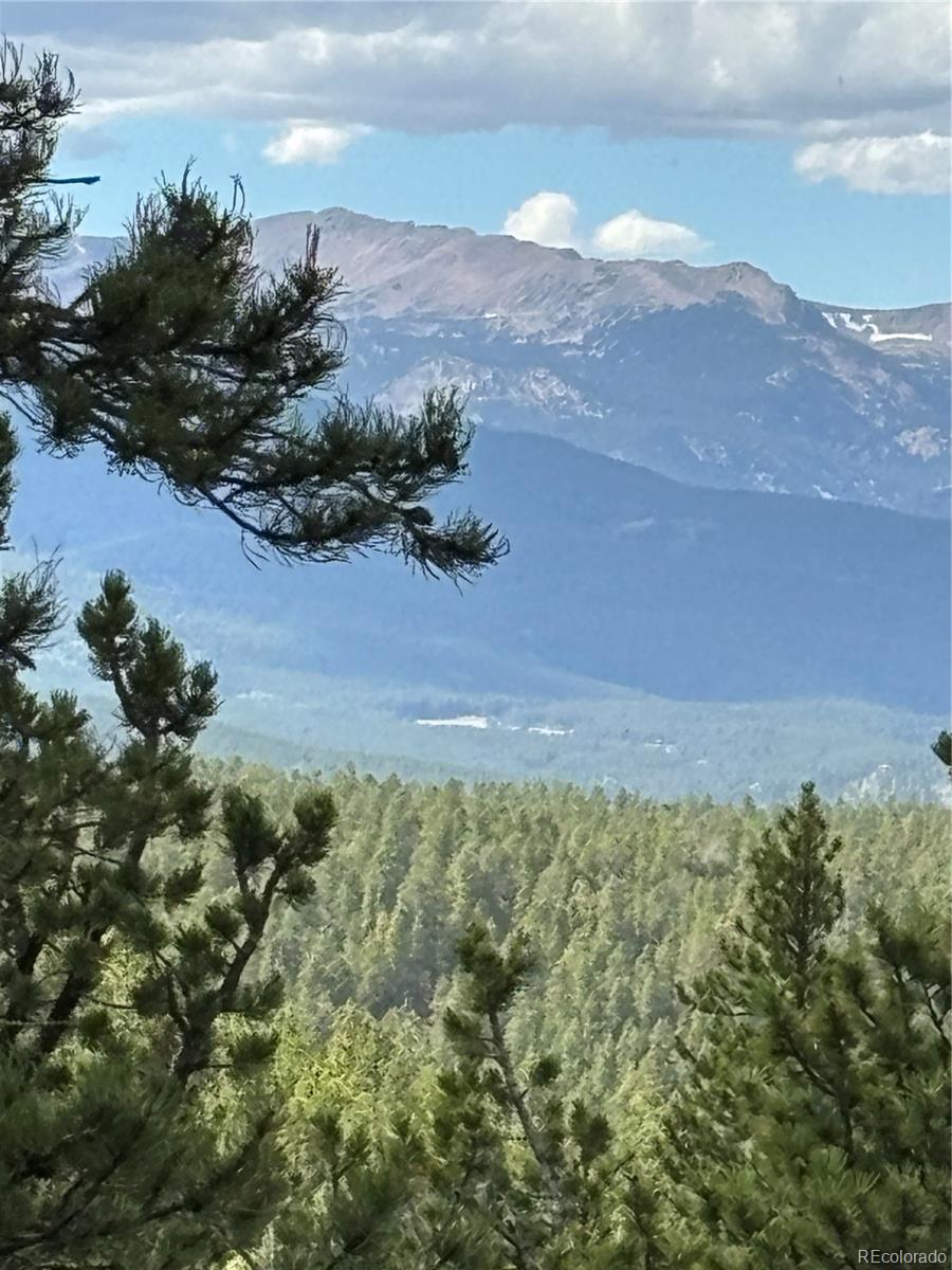 850 Lupine Place Black Hawk CO 80422