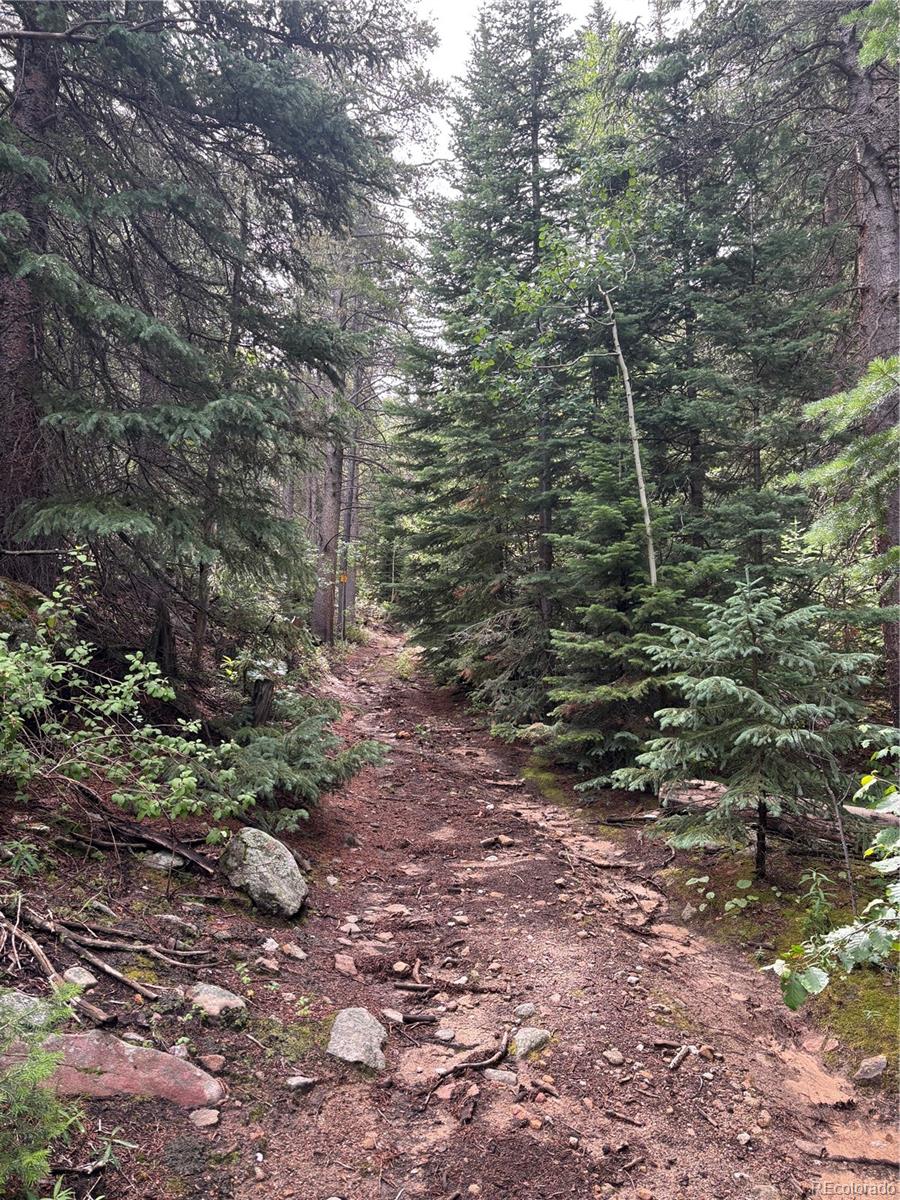 850 Lupine Place Black Hawk CO 80422