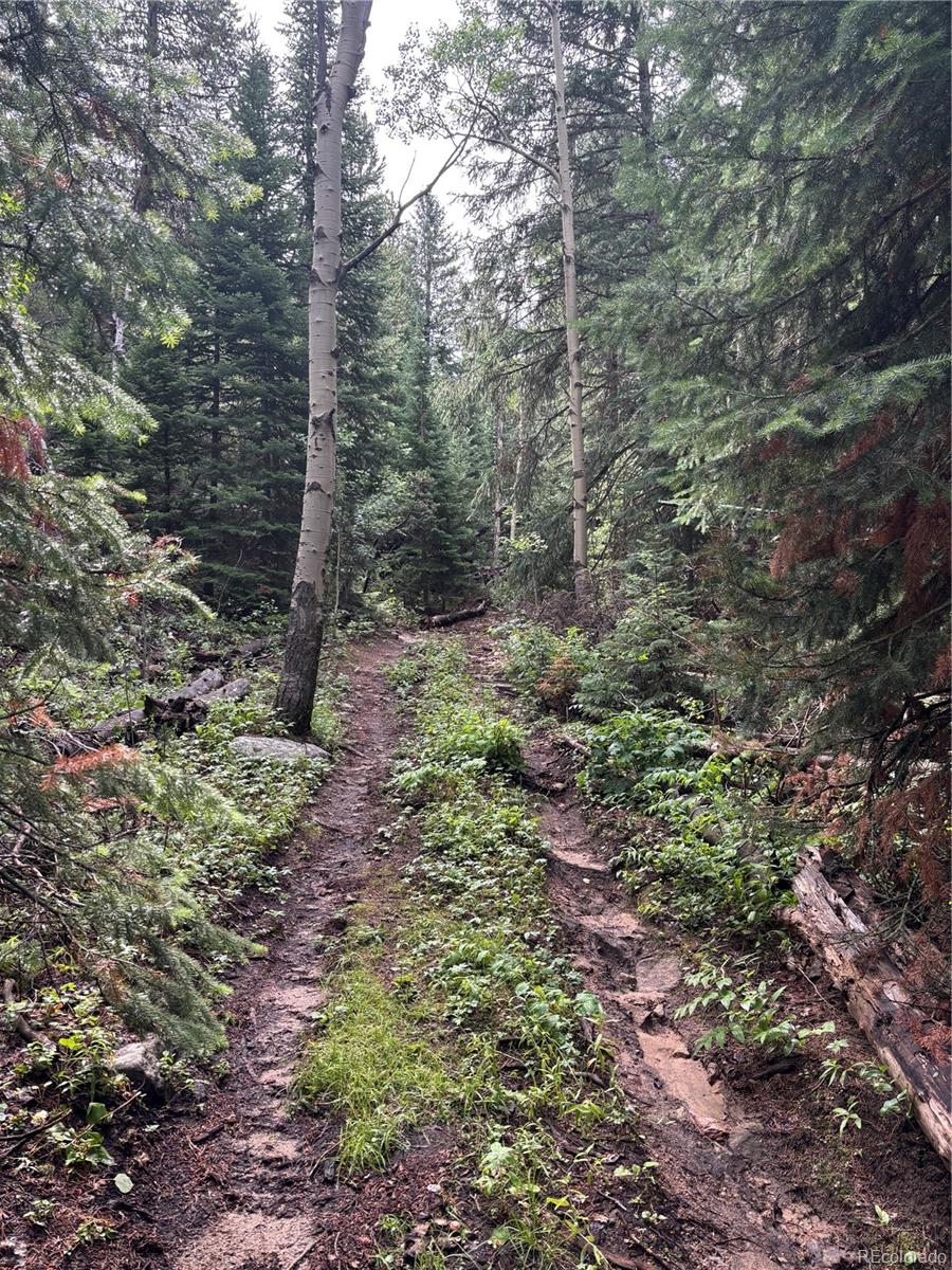 850 Lupine Place Black Hawk CO 80422