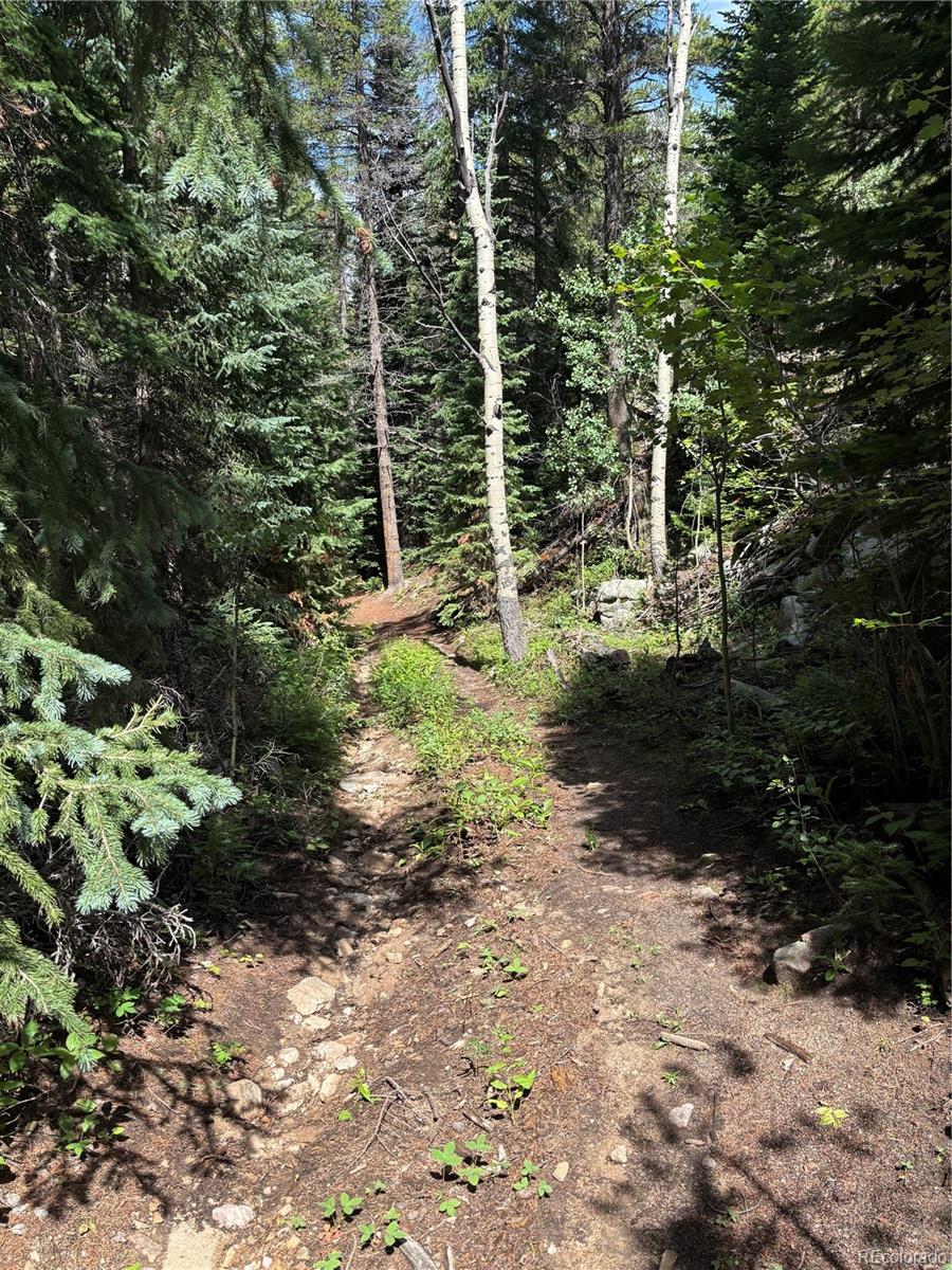 850 Lupine Place Black Hawk CO 80422