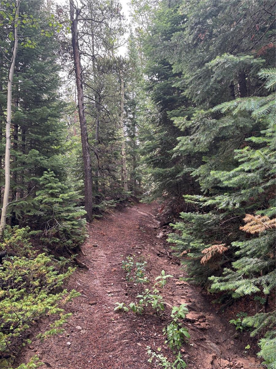 850 Lupine Place Black Hawk CO 80422
