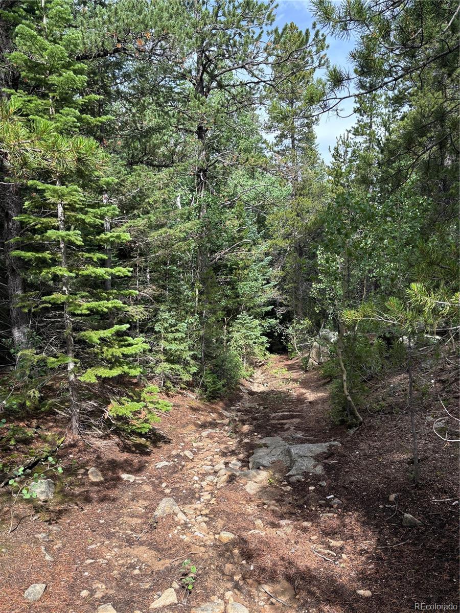 850 Lupine Place Black Hawk CO 80422