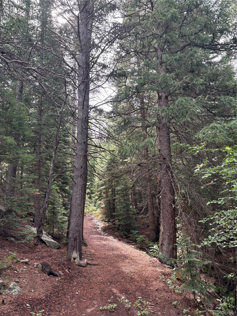 850 Lupine Place Black Hawk CO 80422