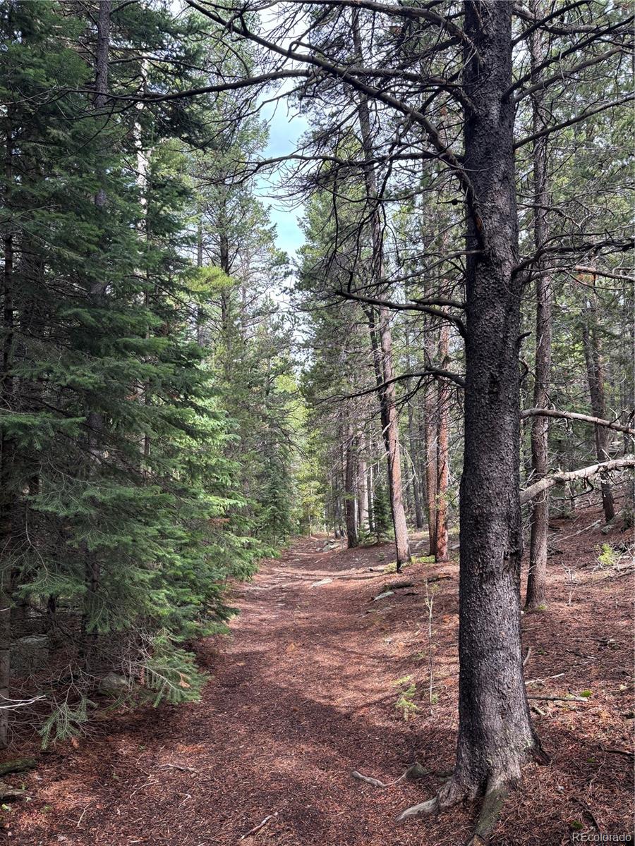 850 Lupine Place Black Hawk CO 80422