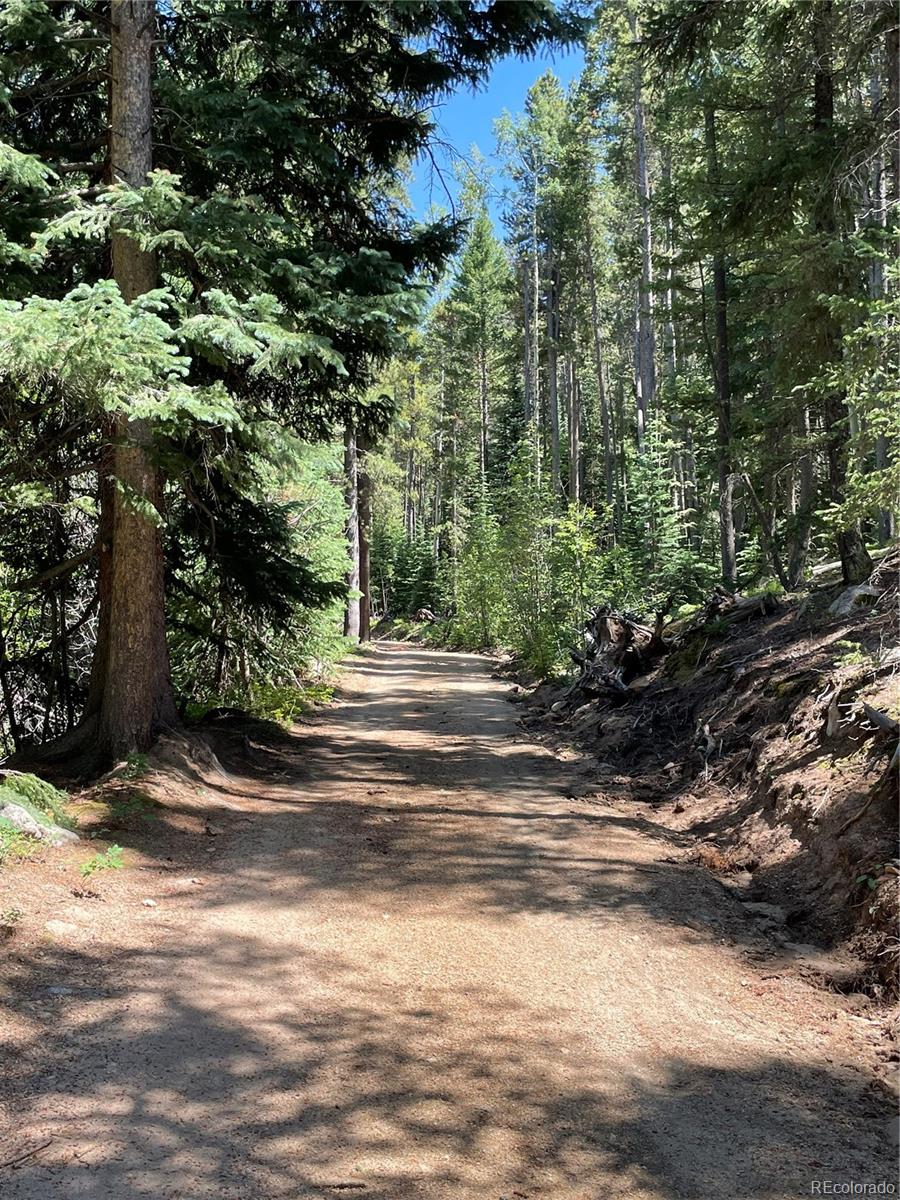 850 Lupine Place Black Hawk CO 80422