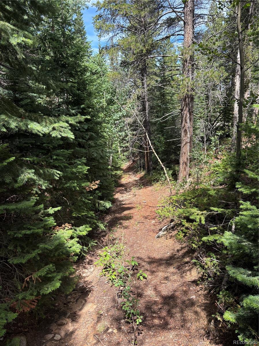850 Lupine Place Black Hawk CO 80422