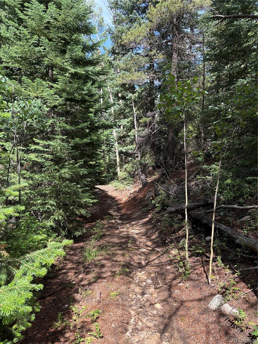 850 Lupine Place Black Hawk CO 80422