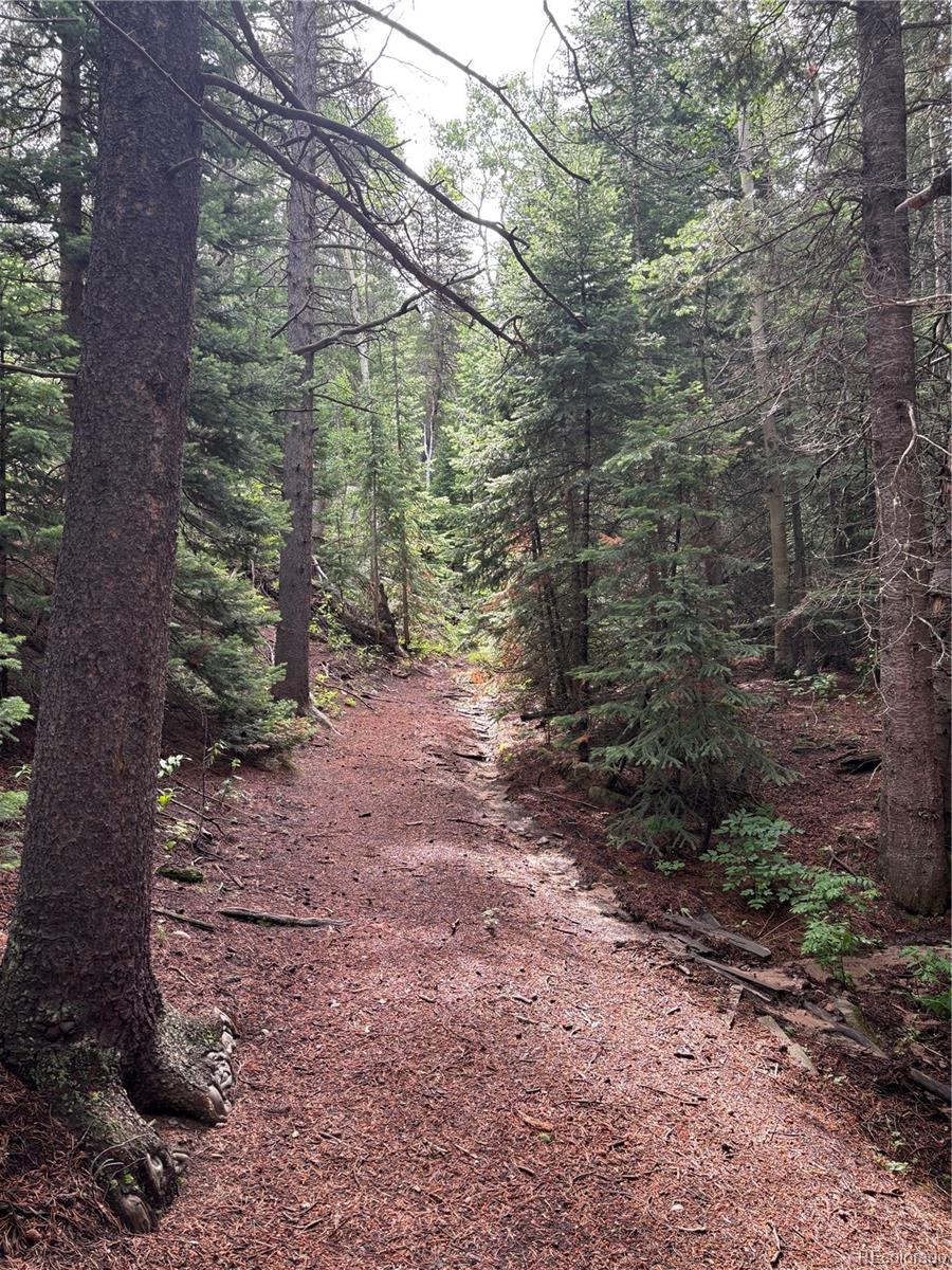 850 Lupine Place Black Hawk CO 80422