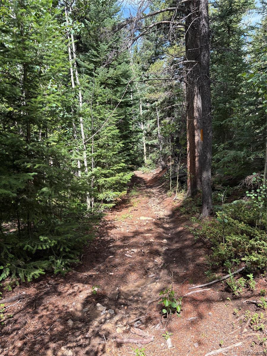 850 Lupine Place Black Hawk CO 80422