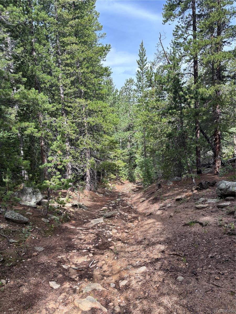850 Lupine Place Black Hawk CO 80422