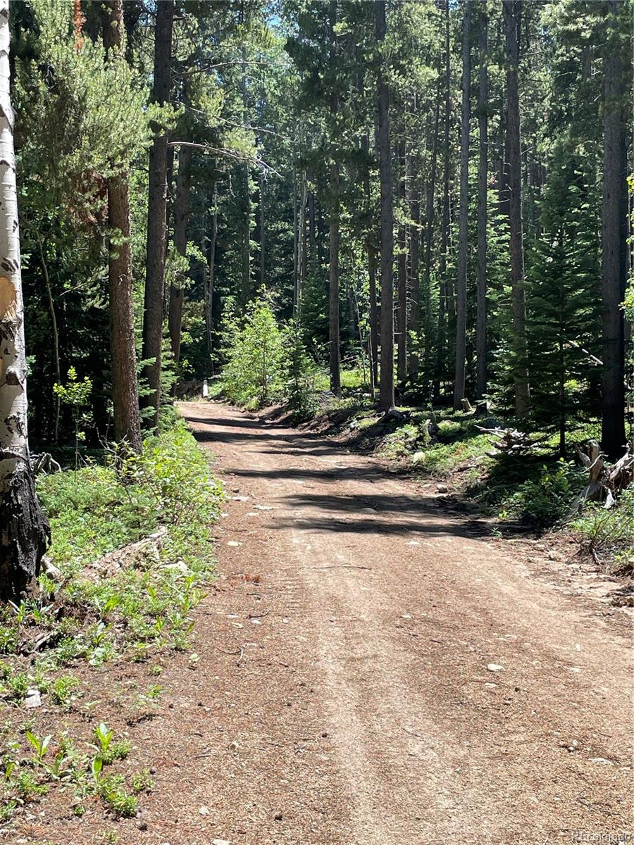 850 Lupine Place Black Hawk CO 80422