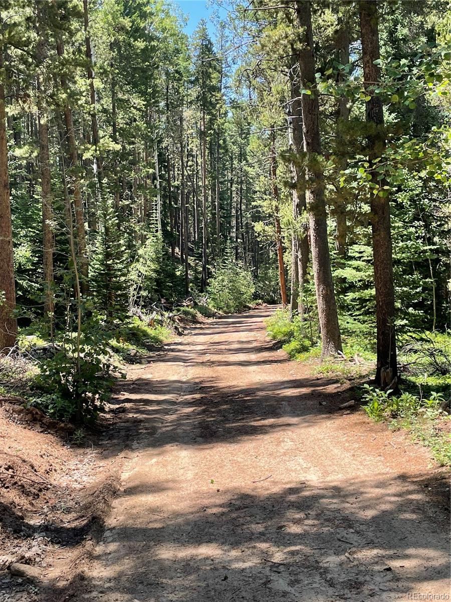 850 Lupine Place Black Hawk CO 80422