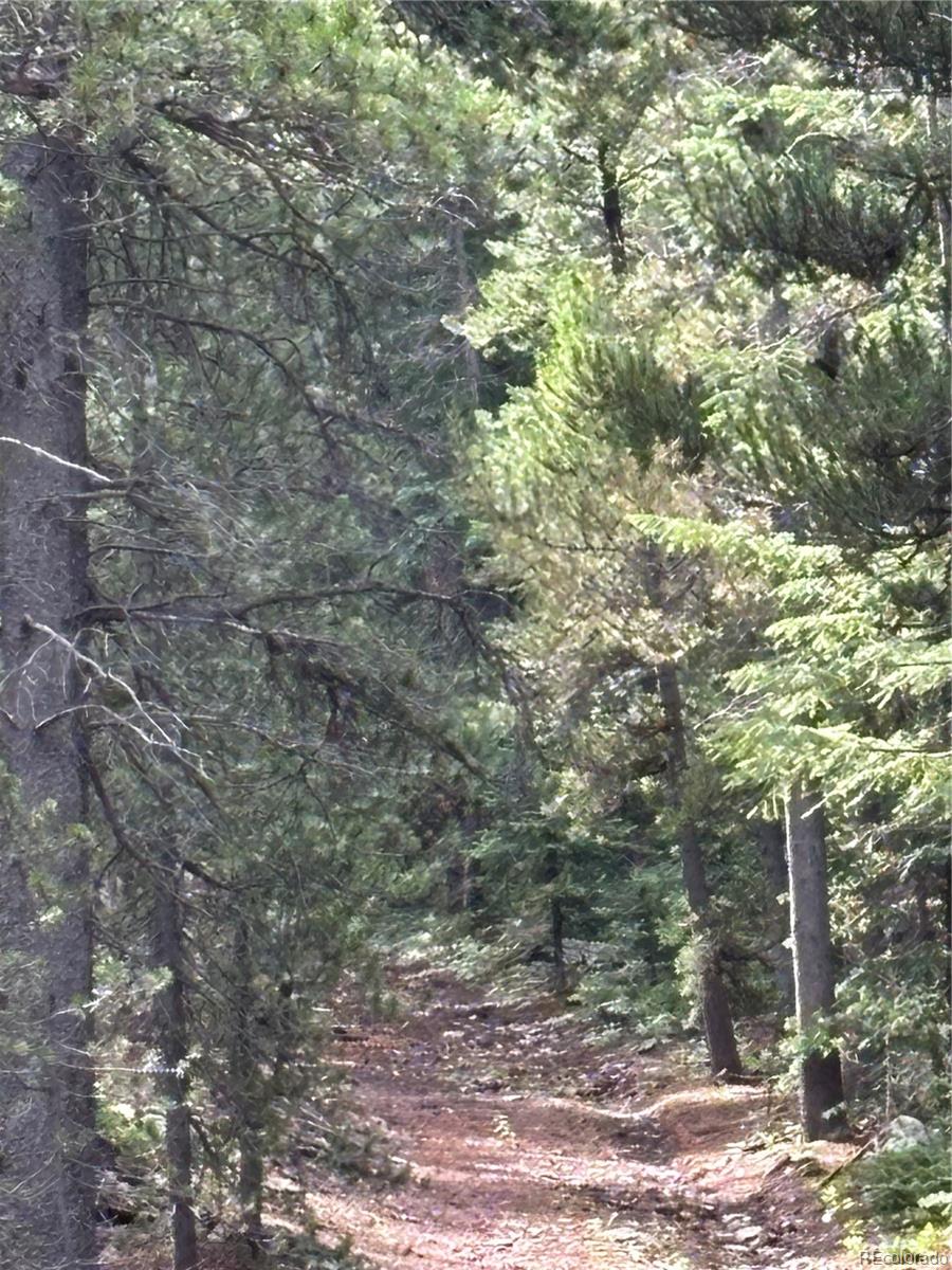 850 Lupine Place Black Hawk CO 80422