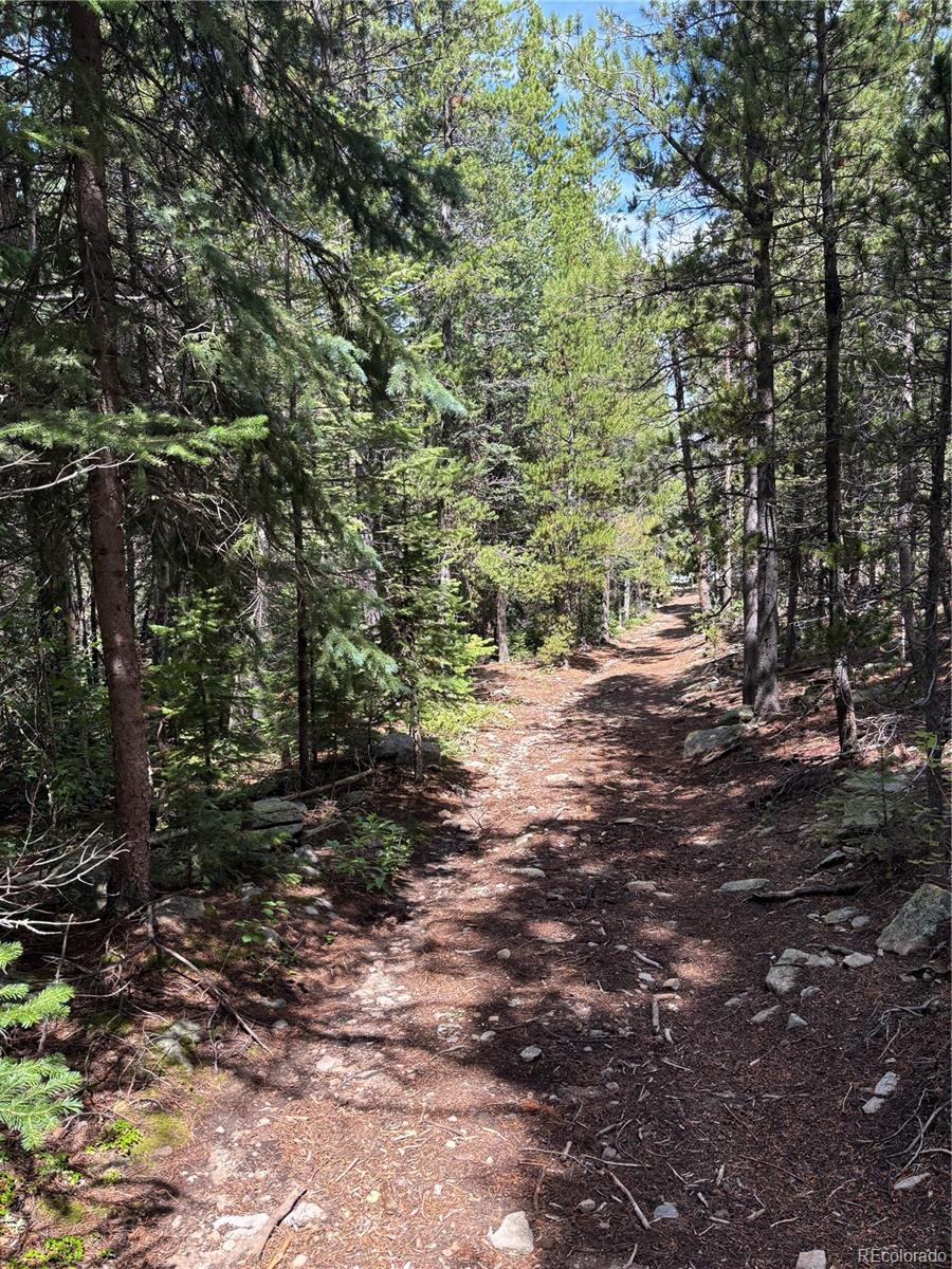 850 Lupine Place Black Hawk CO 80422