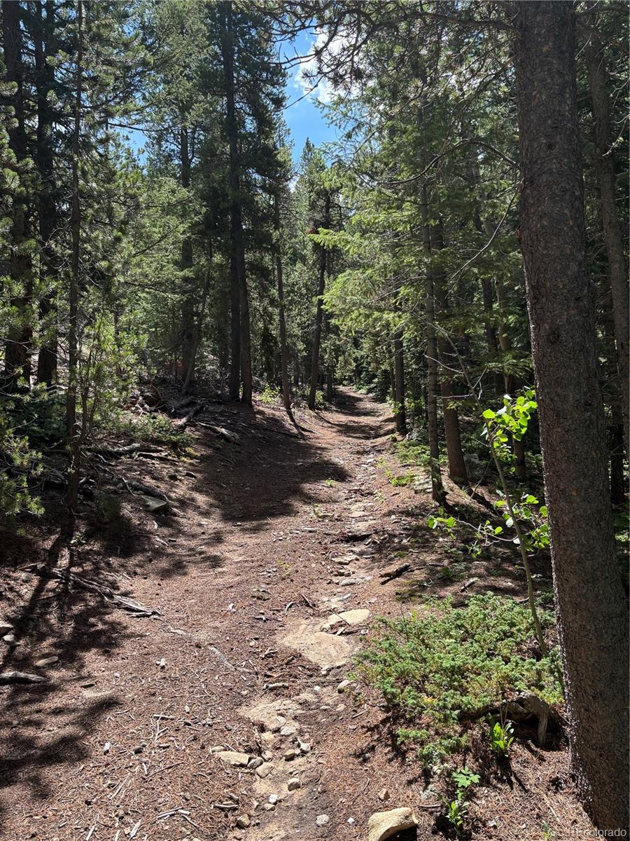 850 Lupine Place Black Hawk CO 80422