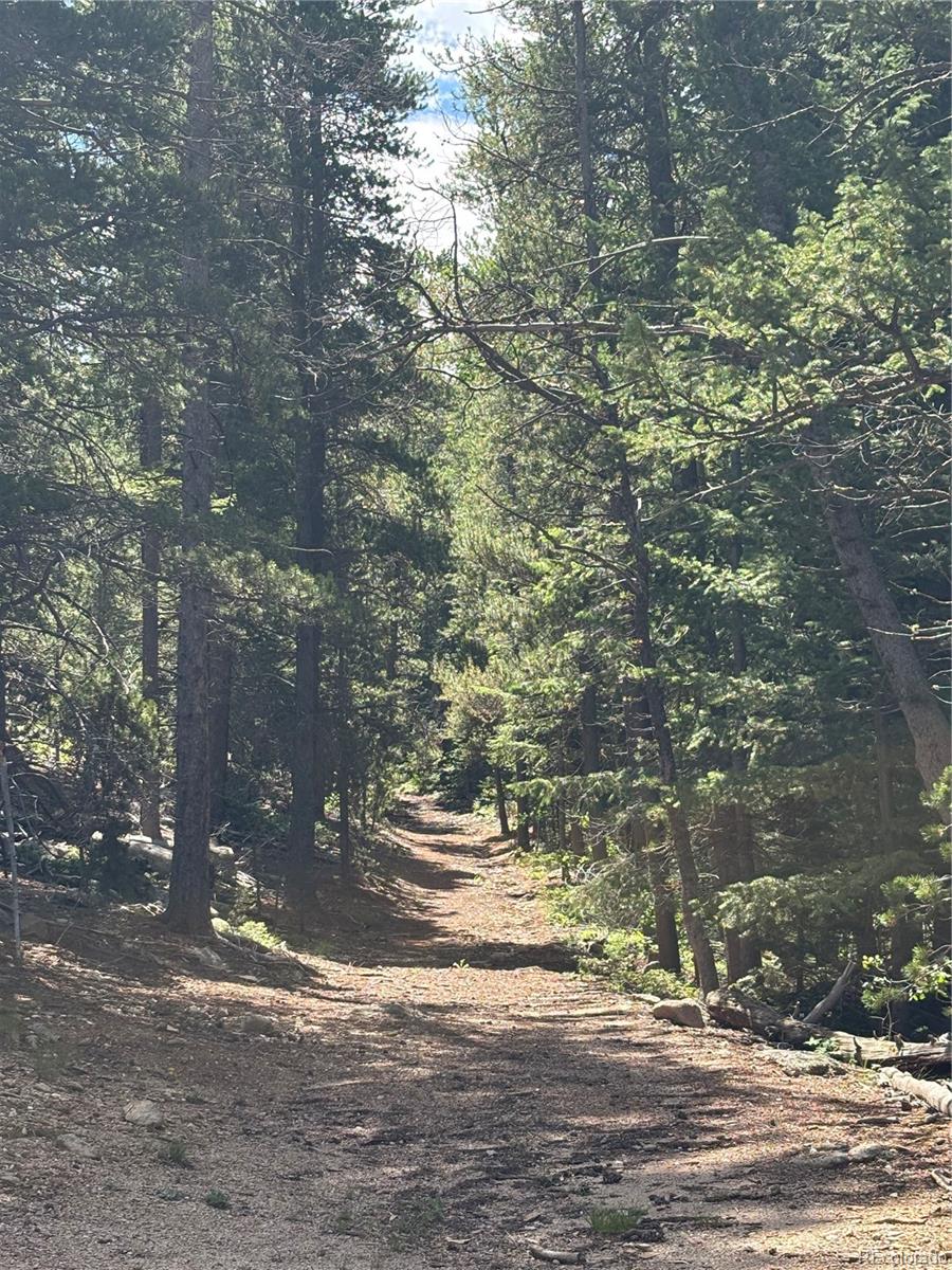 850 Lupine Place Black Hawk CO 80422