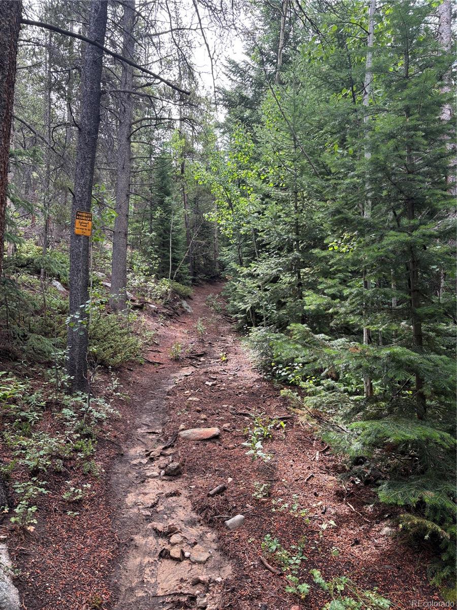 850 Lupine Place Black Hawk CO 80422