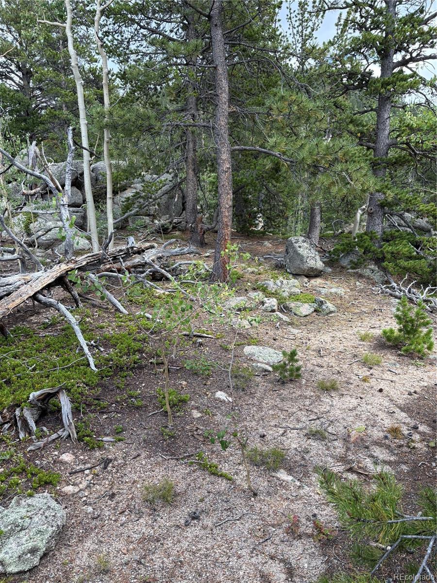 850 Lupine Place Black Hawk CO 80422