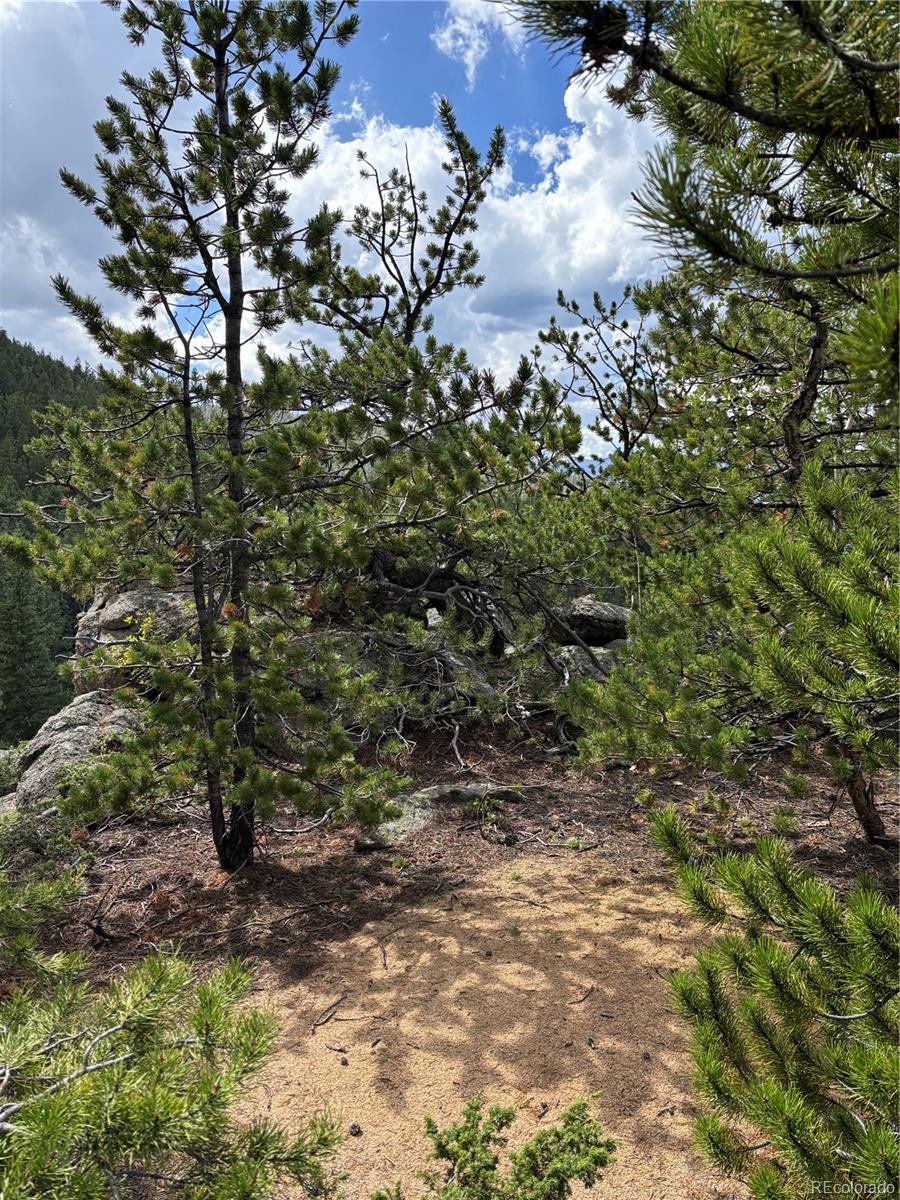 850 Lupine Place Black Hawk CO 80422