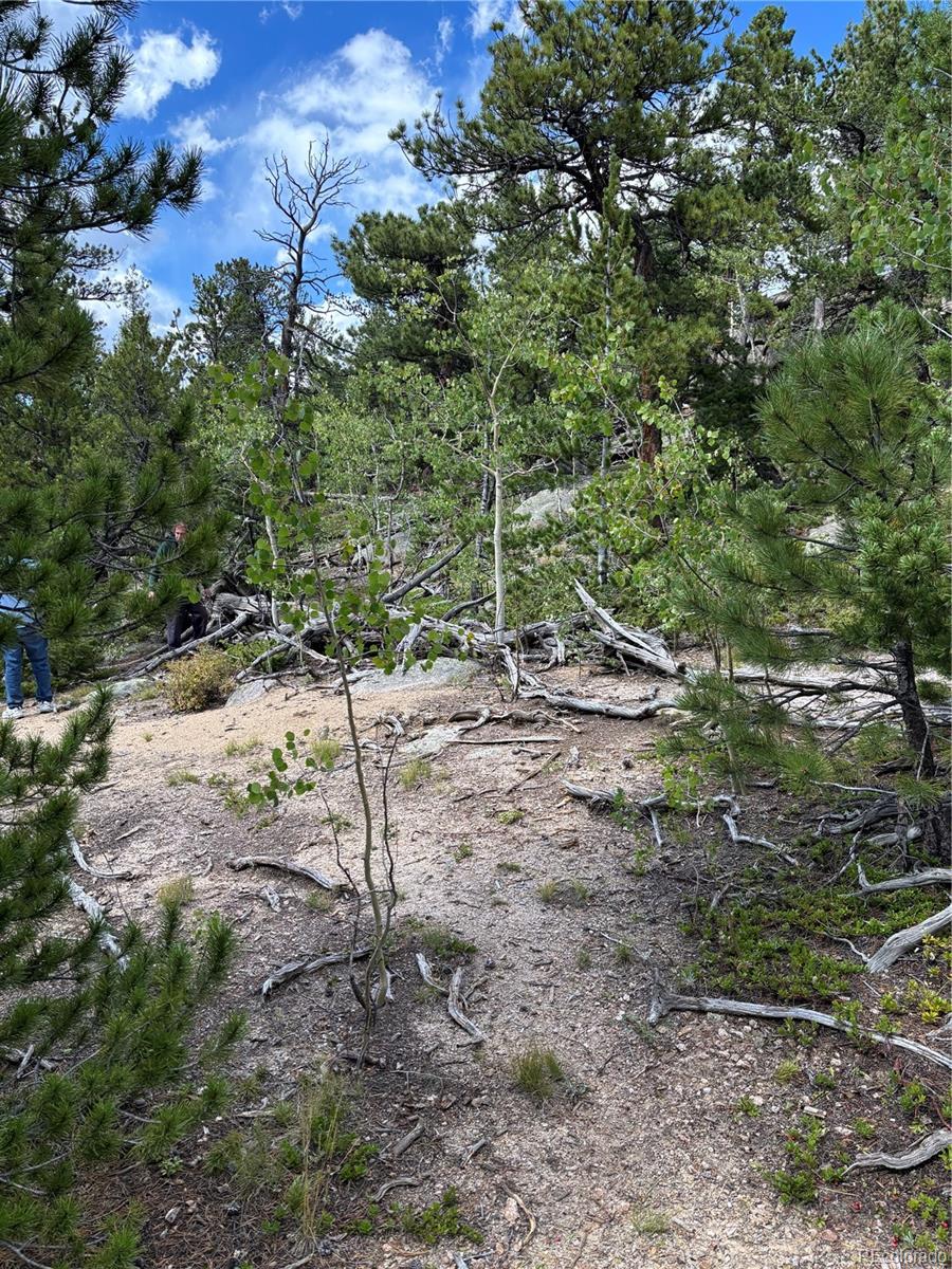 850 Lupine Place Black Hawk CO 80422