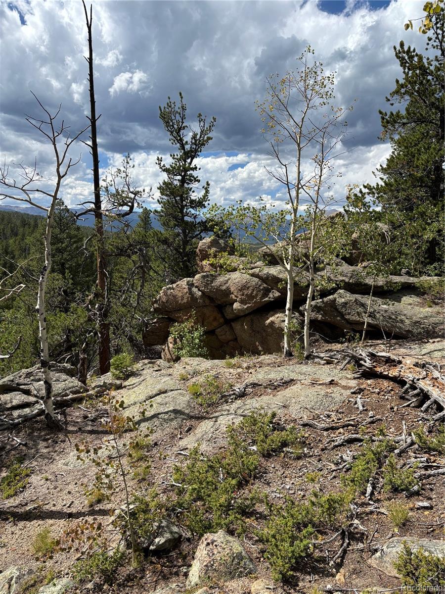 850 Lupine Place Black Hawk CO 80422