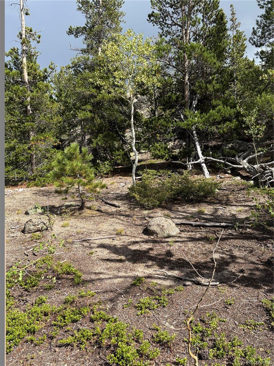 850 Lupine Place Black Hawk CO 80422