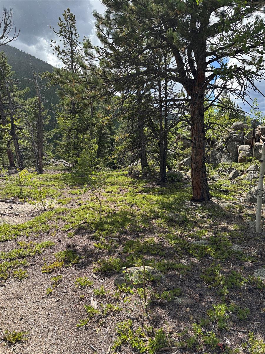 850 Lupine Place Black Hawk CO 80422