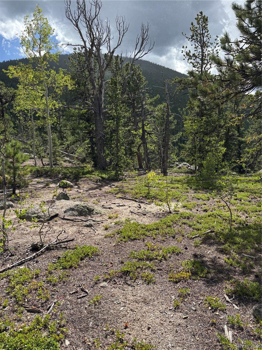850 Lupine Place Black Hawk CO 80422