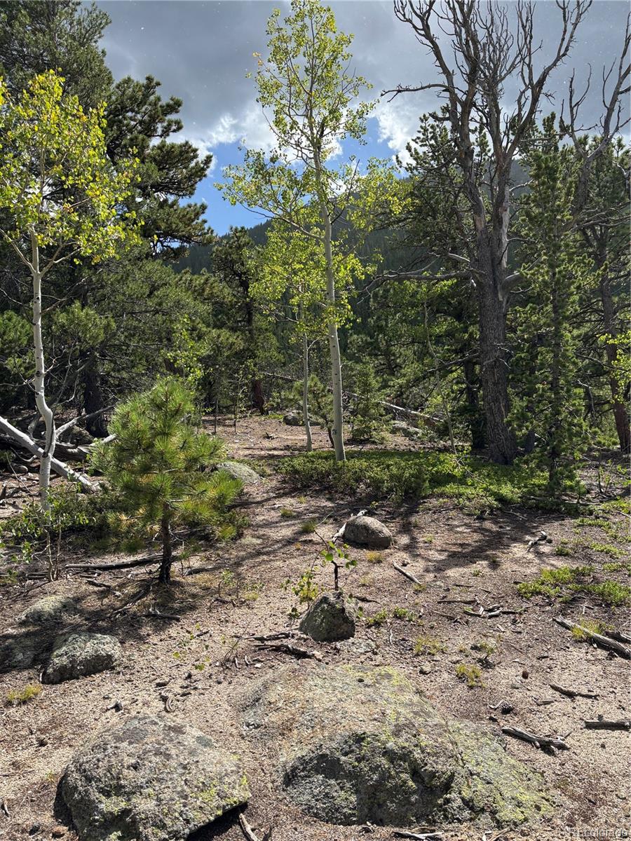 850 Lupine Place Black Hawk CO 80422