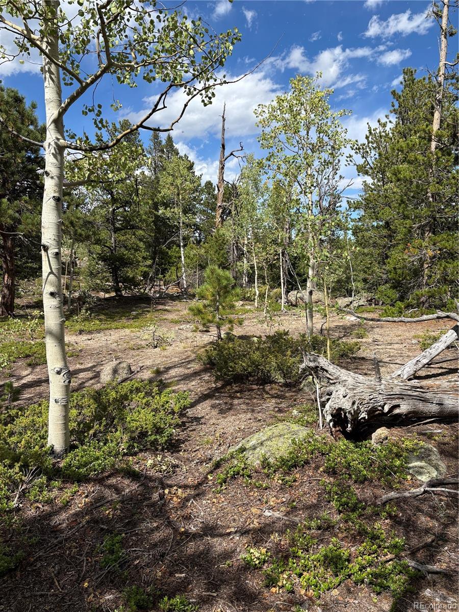 850 Lupine Place Black Hawk CO 80422