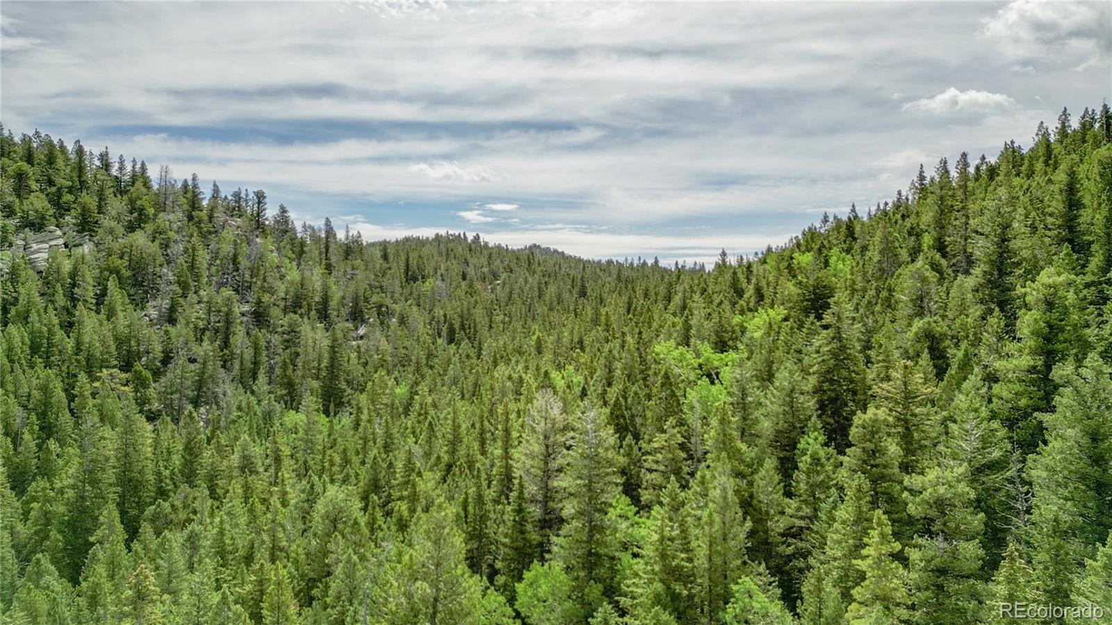 850 Lupine Place Black Hawk CO 80422