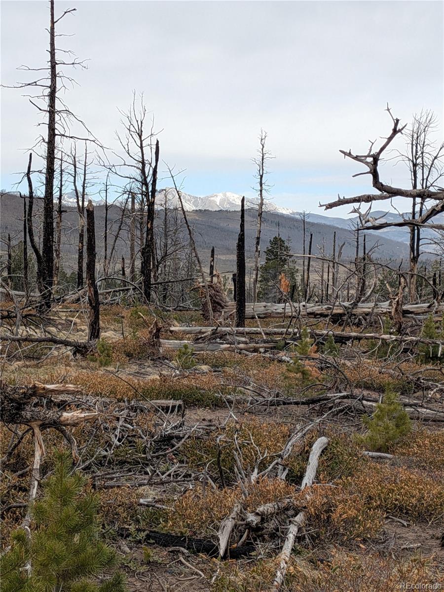 Lot 2301 Wohlstetter Loop Fort Garland CO 81133