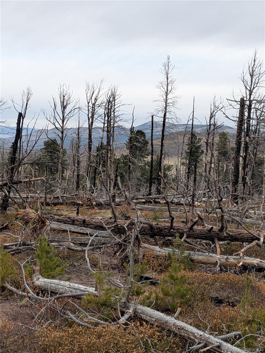 Lot 2301 Wohlstetter Loop Fort Garland CO 81133