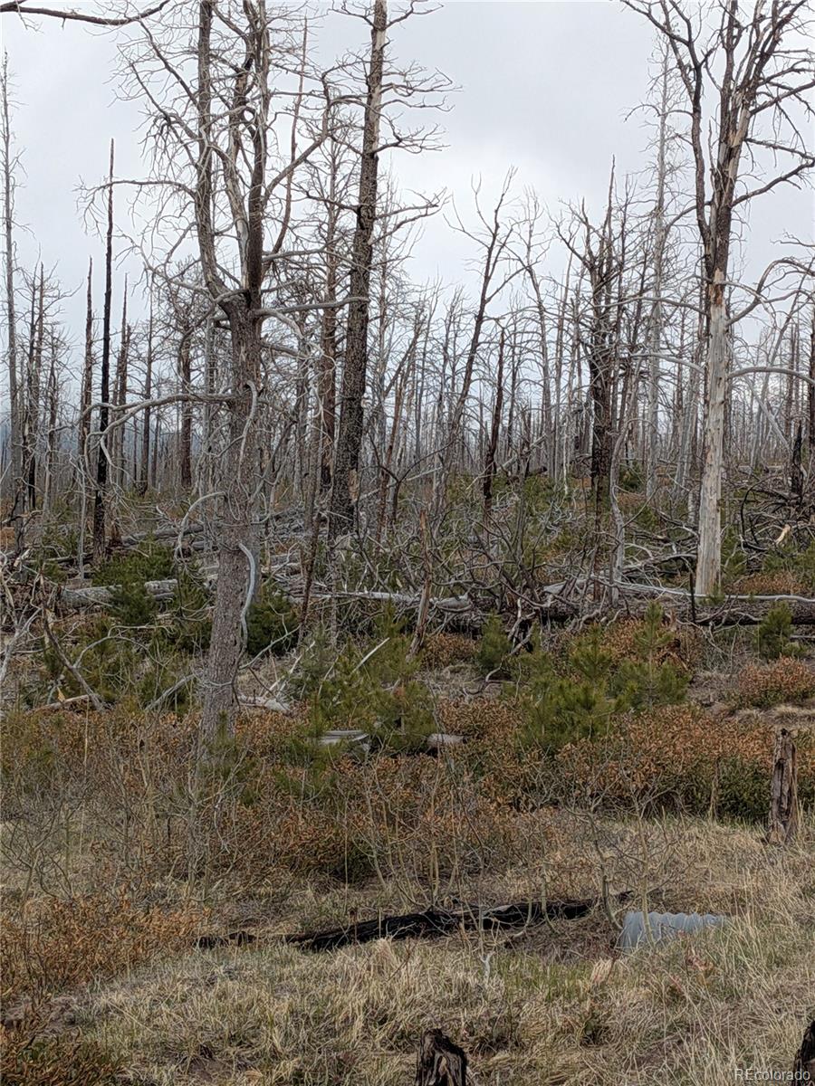 Lot 2301 Wohlstetter Loop Fort Garland CO 81133