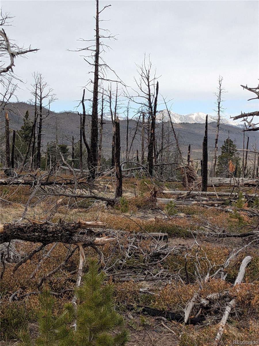 Lot 2301 Wohlstetter Loop Fort Garland CO 81133