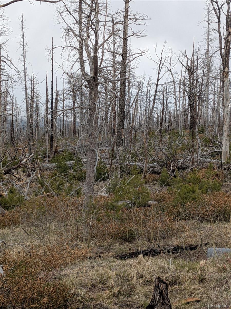 Lot 2301 Wohlstetter Loop Fort Garland CO 81133