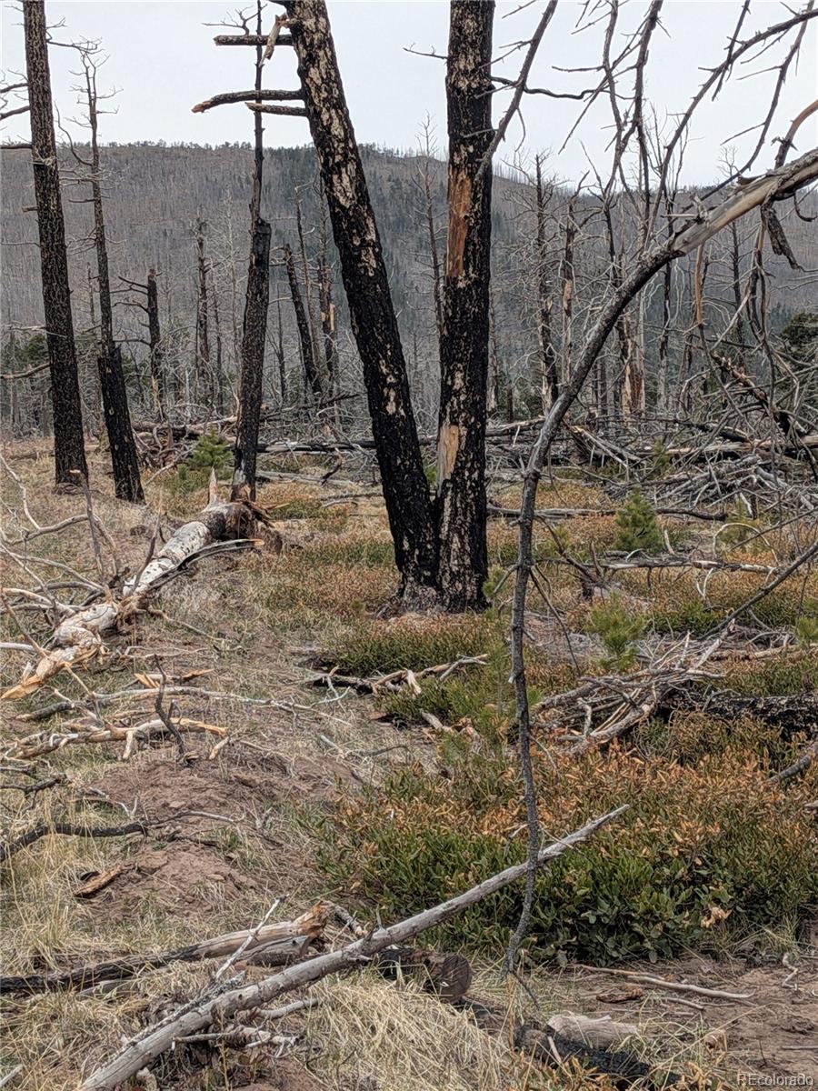 Lot 2301 Wohlstetter Loop Fort Garland CO 81133