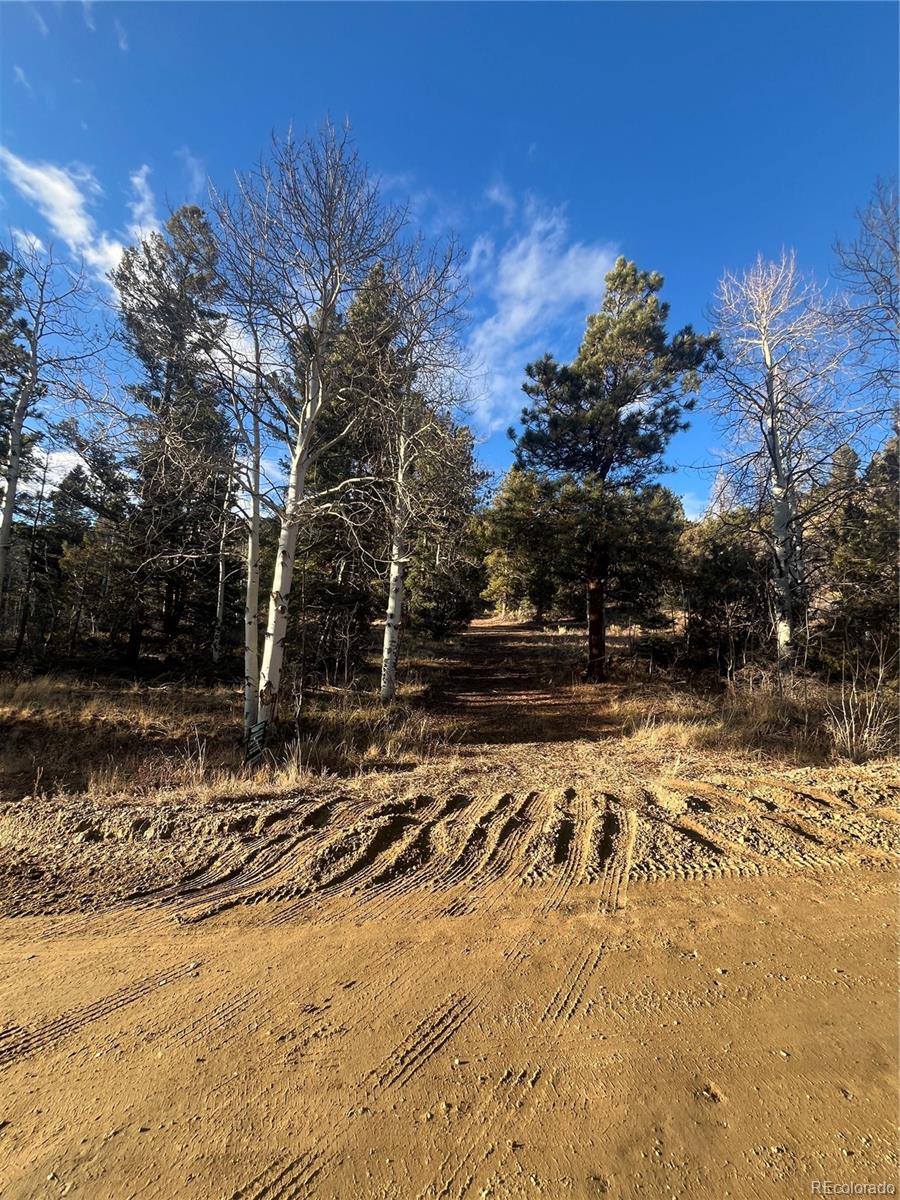 Forbes Road Fort Garland CO 81133