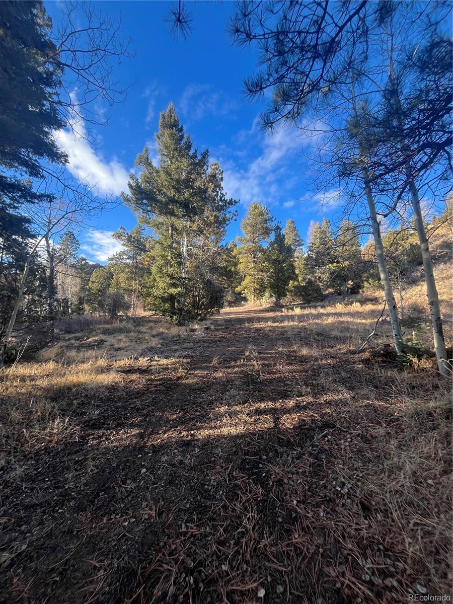 Forbes Road Fort Garland CO 81133